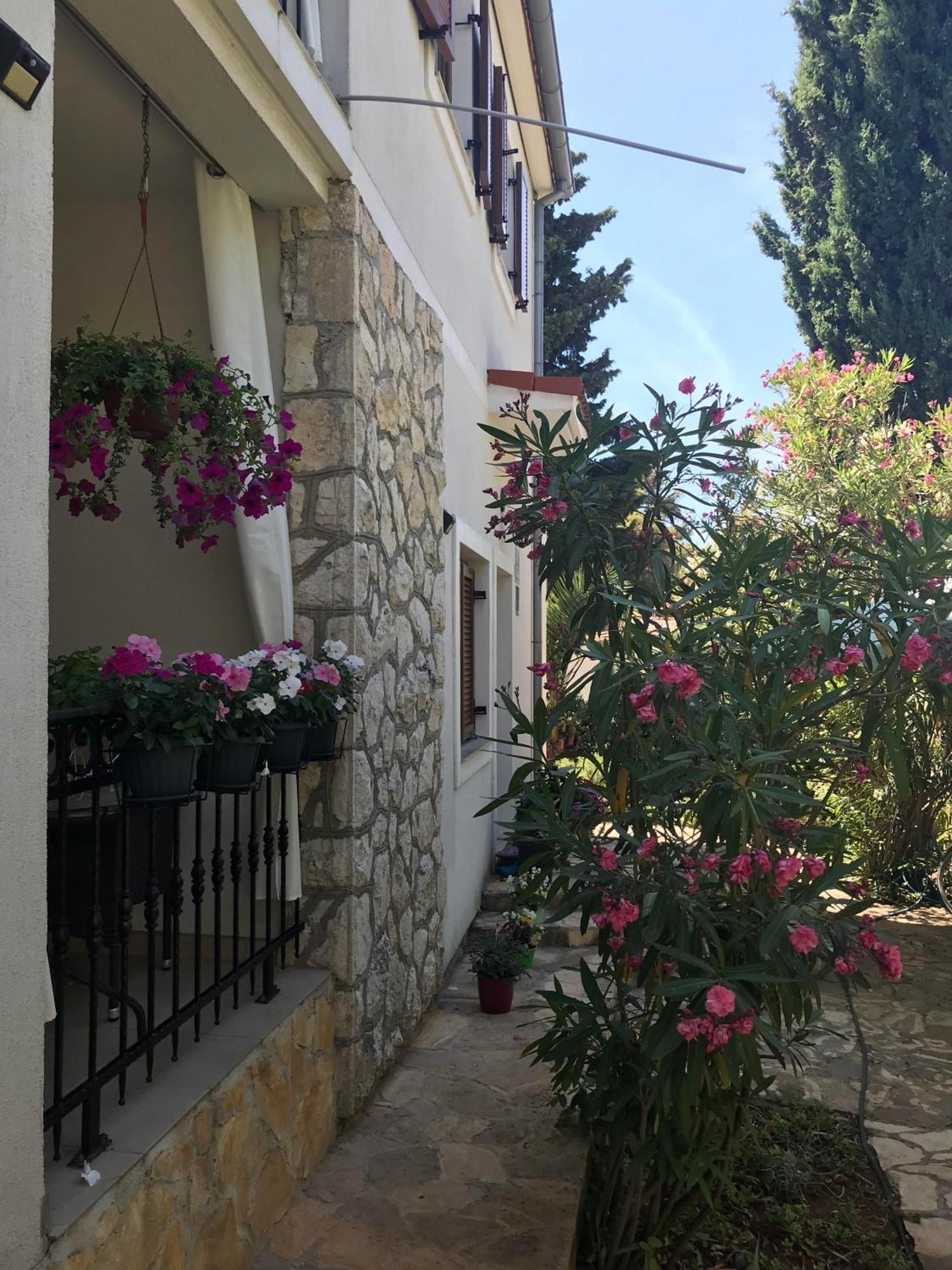 Apartmani Zlataric 斯塔里格勒 外观 照片