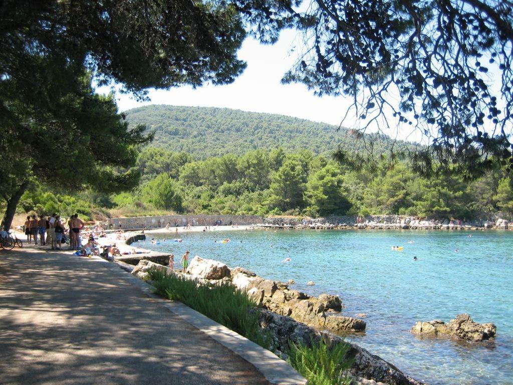 Apartmani Zlataric 斯塔里格勒 外观 照片